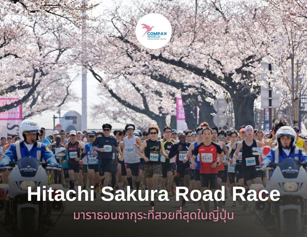 วิ่งมาราธอนญี่ปุ่น เจาะลึก Hitachi Sakura Road Race