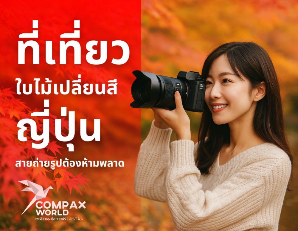 ที่เที่ยวใบไม้เปลี่ยนสี ญี่ปุ่น สายถ่ายรูปต้องห้ามพลาด