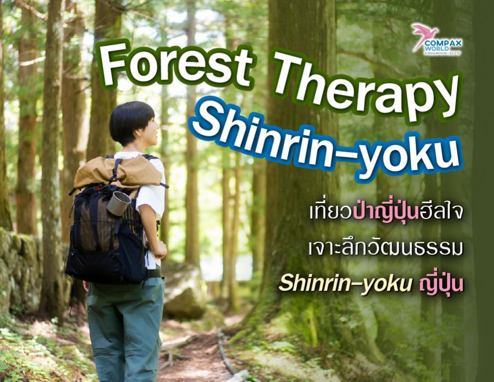 เที่ยวป่าญี่ปุ่นฮีลใจกับ Forest Therapy เจาะลึกวัฒนธรรม Shinrin-yoku