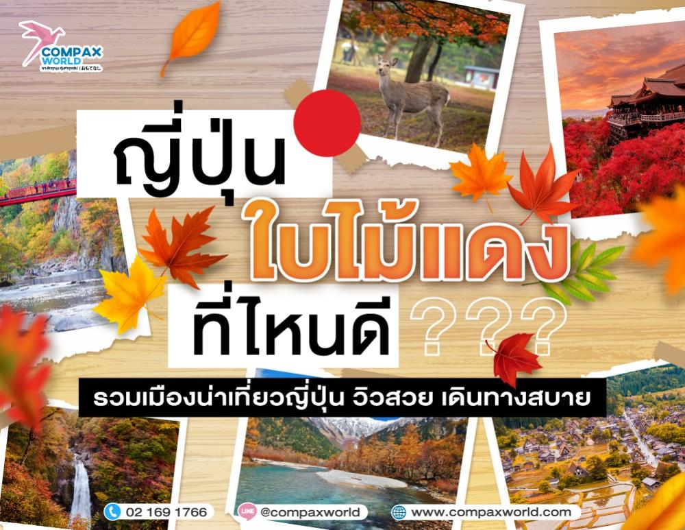 ญี่ปุ่นใบไม้แดงที่ไหนดี รวมเมืองน่าเที่ยวญี่ปุ่น วิวสวย เดินทางสบาย