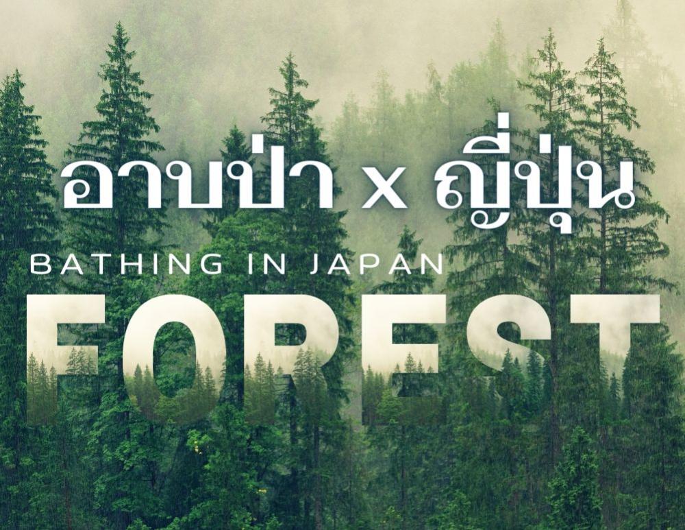 Shinrin-Yoku ศาสตร์ธรรมชาติ อาบป่า แบบญี่ปุ่น