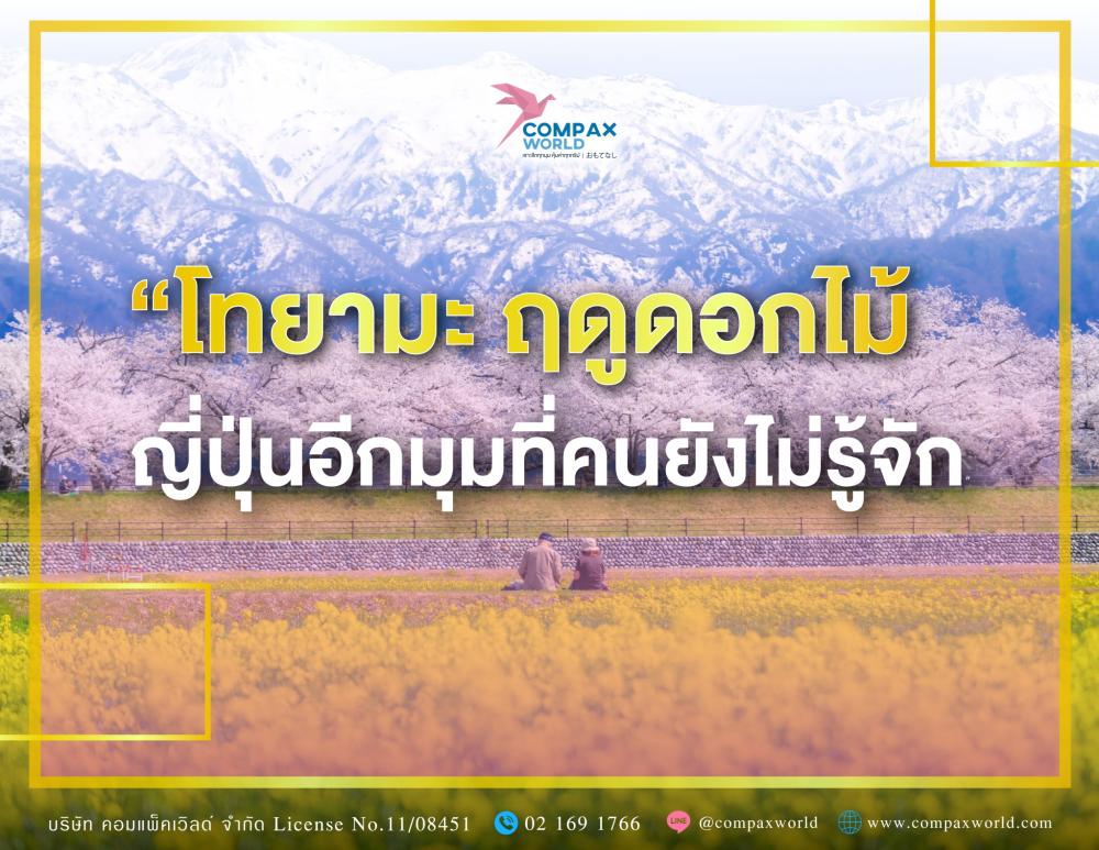 เที่ยวโทยามะญี่ปุ่นฤดูดอกไม้ ญี่ปุ่นอีกมุมที่คนยังไม่รู้จัก