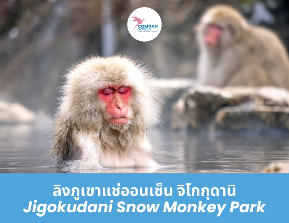ทัวร์ญี่ปุ่น เที่ยวญี่ปุ่น โปรแกรมทัวร์ญี่ปุ่น