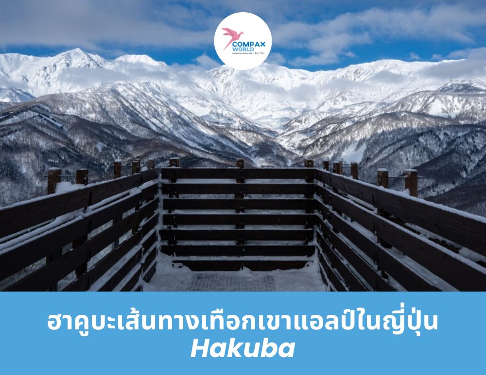 ทัวร์ญี่ปุ่น เที่ยวญี่ปุ่น โปรแกรมทัวร์ญี่ปุ่น