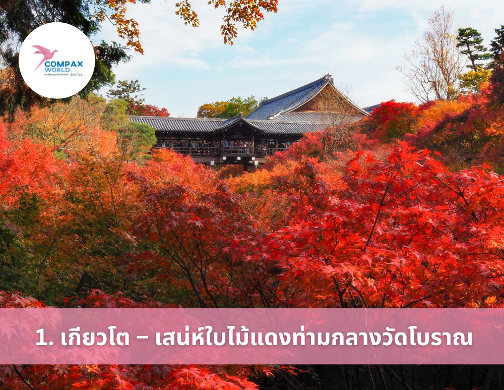 เที่ยวญี่ปุ่น ทัวร์ญี่ปุ่นพรีเมี่ยม ชมใบไม้เปลี่ยนสี ญี่ปุ่น
