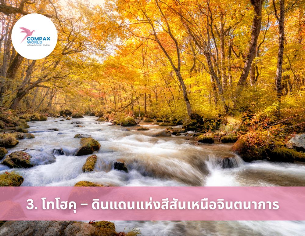 เที่ยวญี่ปุ่น ทัวร์ญี่ปุ่นพรีเมี่ยม ชมใบไม้เปลี่ยนสี ญี่ปุ่น