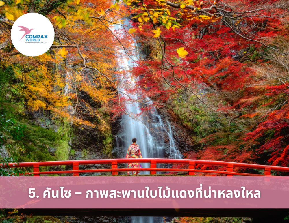 เที่ยวญี่ปุ่น ทัวร์ญี่ปุ่นพรีเมี่ยม ชมใบไม้เปลี่ยนสี ญี่ปุ่น