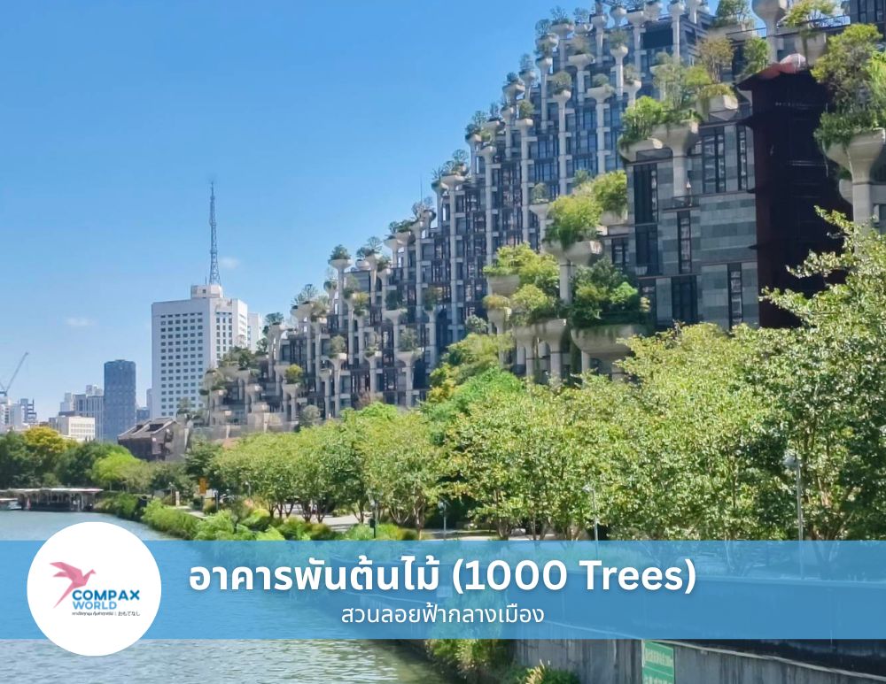 เที่ยวจีน ทัวร์จีนพรีเมี่ยม โปรแกรมเที่ยวจีน