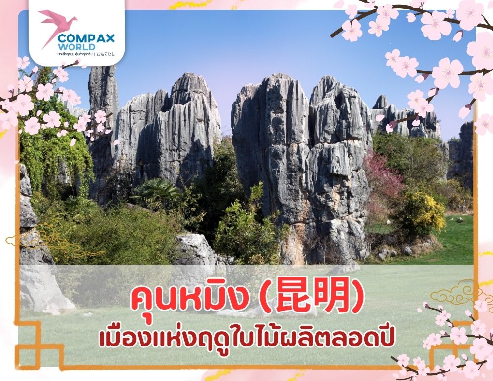 เที่ยวโปรแกรม โปรแกรมเที่ยวจีน ทัวร์จีนพรีเมี่ยม