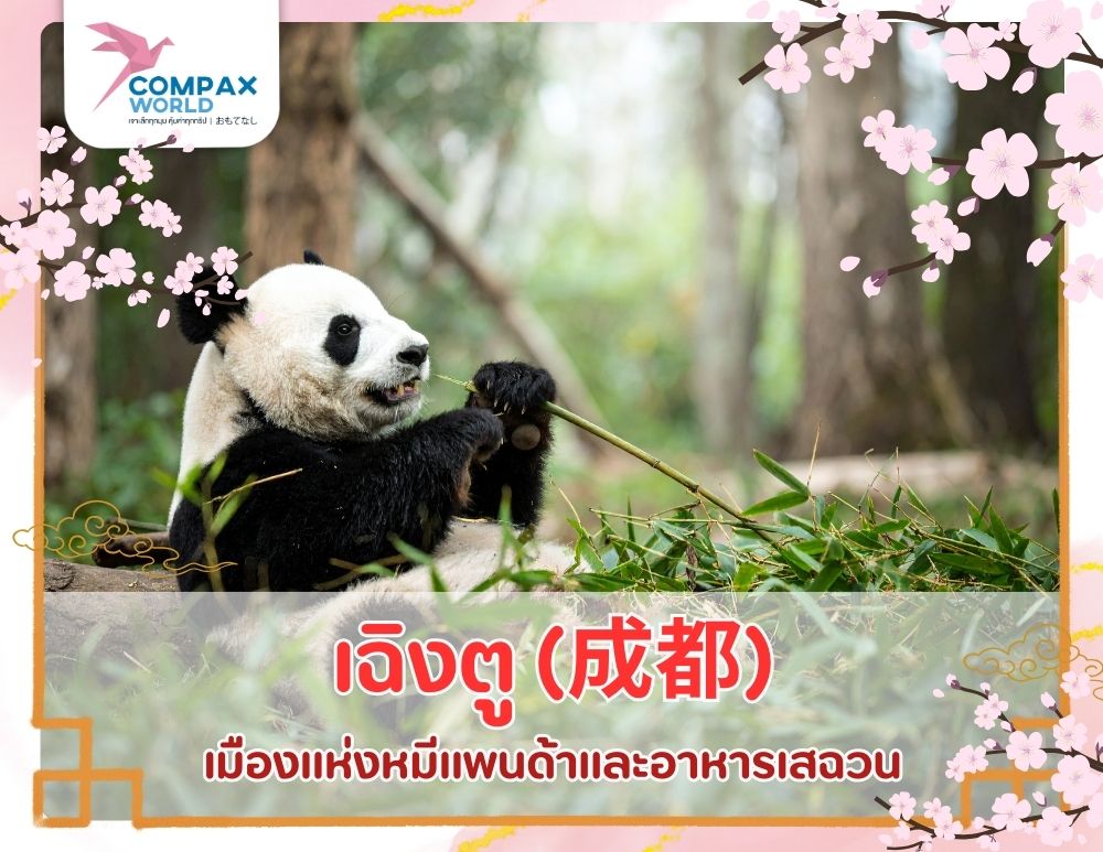 เที่ยวโปรแกรม โปรแกรมเที่ยวจีน ทัวร์จีนพรีเมี่ยม