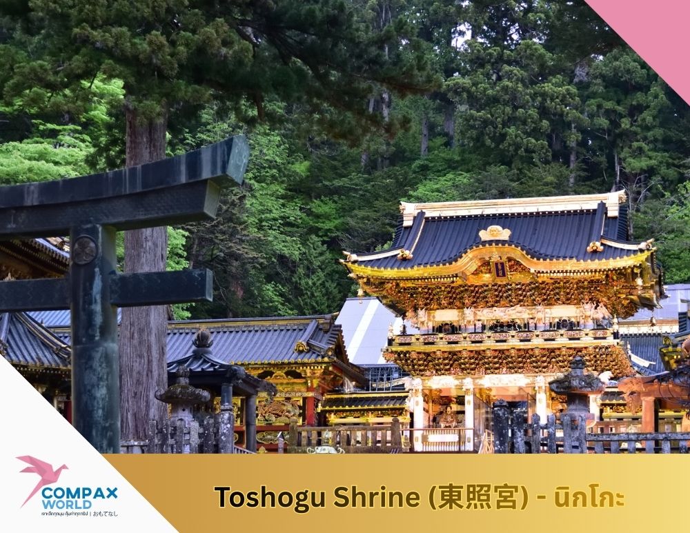 ทัวร์ญี่ปุ่น เที่ยวญี่ปุ่น โปรแกรมทัวร์ญี่ปุ่น