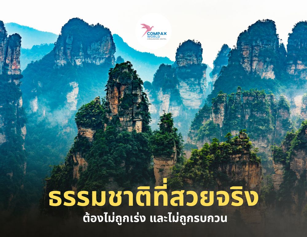 ทัวร์จีนพรีเมี่ยม เที่ยวจีนพรีเมี่ยม โปรแกรมเที่ยวจีน