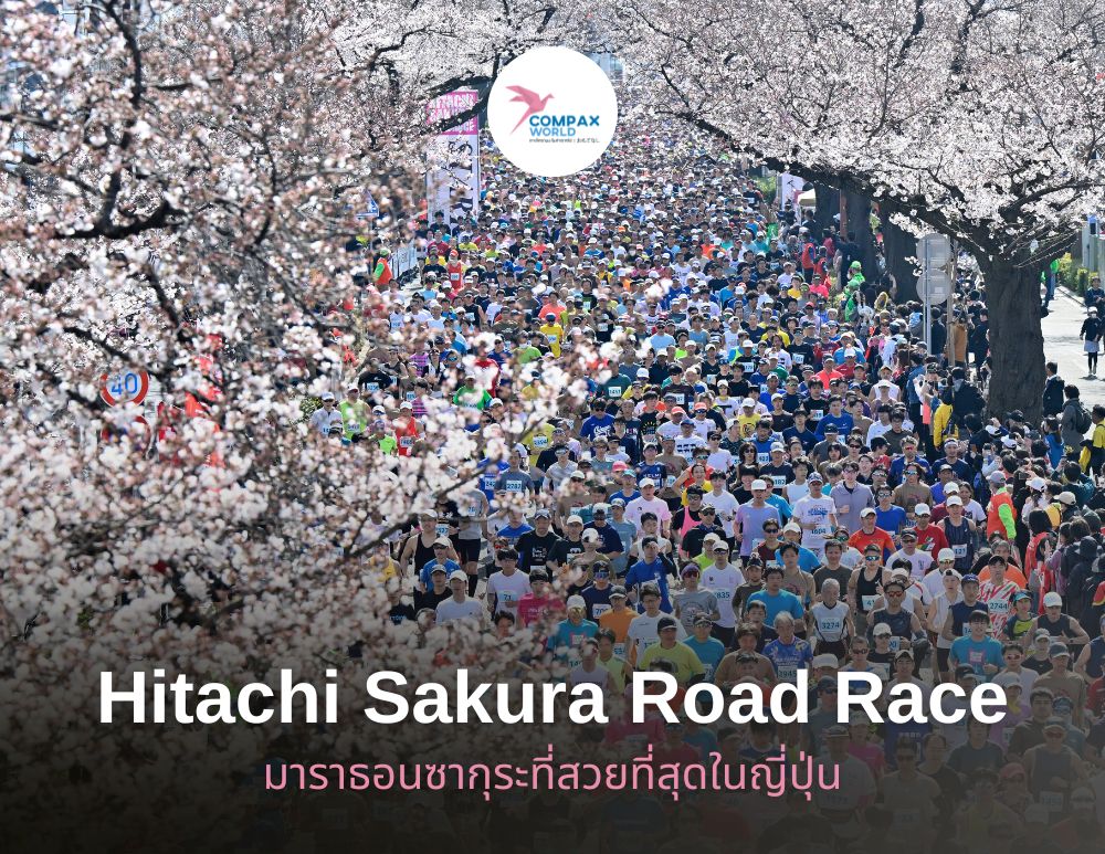 วิ่งมาราธอนญี่ปุ่น อิบารากิ sakura