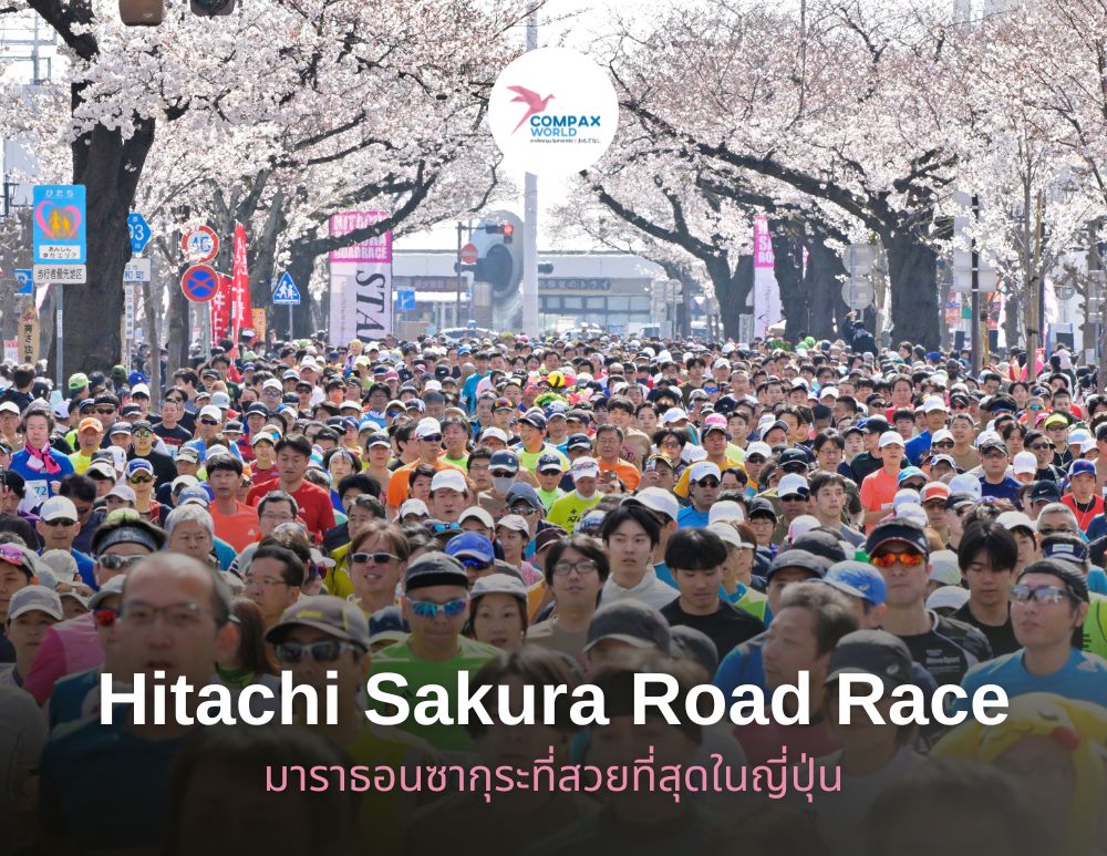 วิ่งมาราธอนญี่ปุ่น อิบารากิ sakura