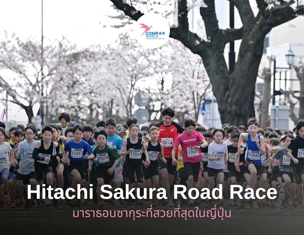 วิ่งมาราธอนญี่ปุ่น อิบารากิ sakura