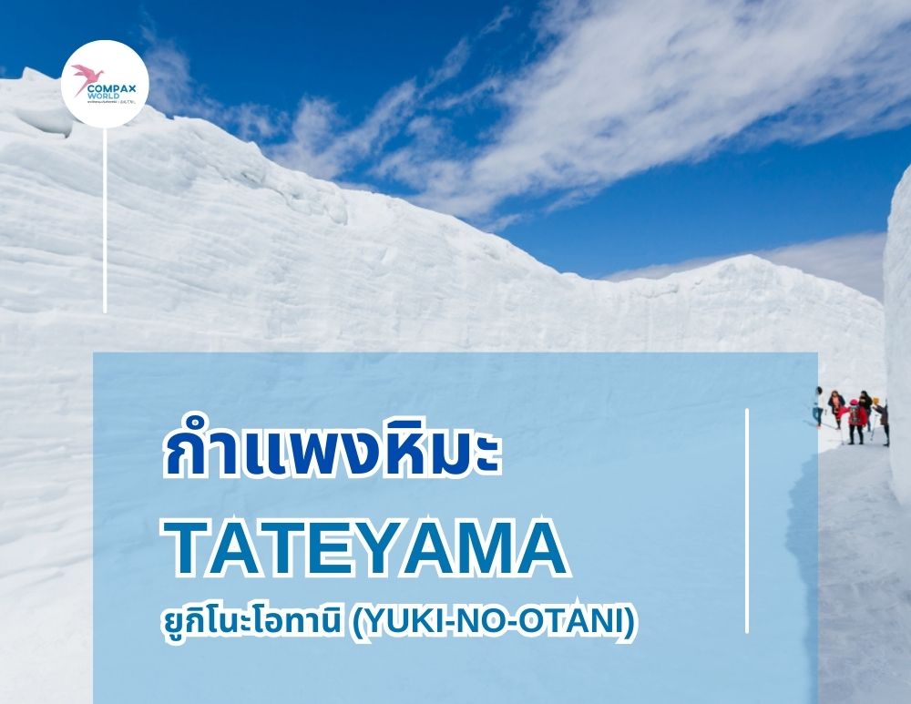 เที่ยวญี่ปุ่น ทัวร์ญี่ปุ่น เที่ยวโทยามะ