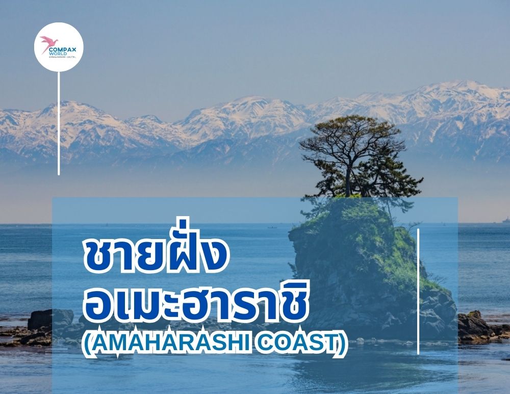 เที่ยวญี่ปุ่น ทัวร์ญี่ปุ่น เที่ยวโทยามะ