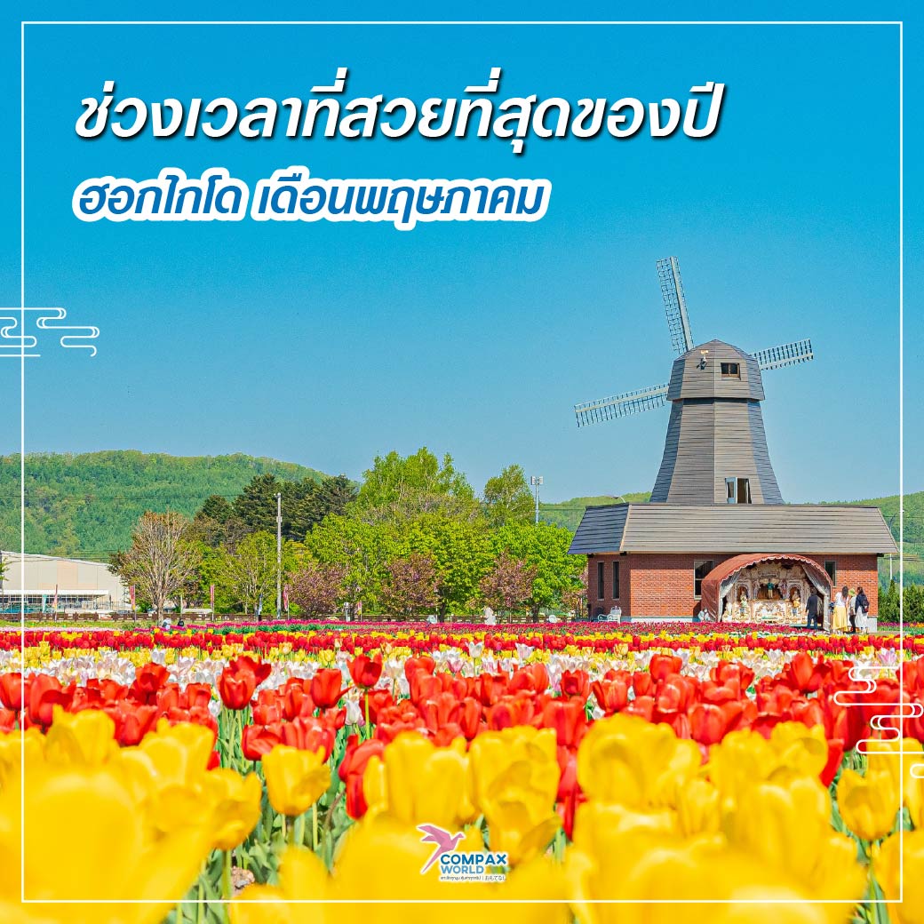 เที่ยวญี่ปุ่น ทัวร์ญี่ปุ่น ทัวร์ญี่ปุ่นพรีเมี่ยม โปรแกรมทัวร์ญี่ปุ่น