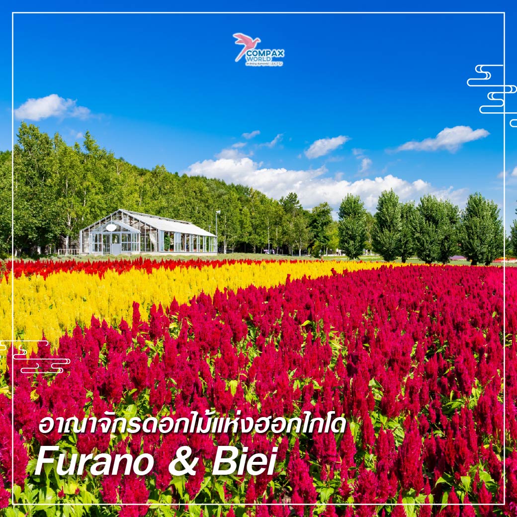 เที่ยวญี่ปุ่น ทัวร์ญี่ปุ่น ทัวร์ญี่ปุ่นพรีเมี่ยม โปรแกรมทัวร์ญี่ปุ่น