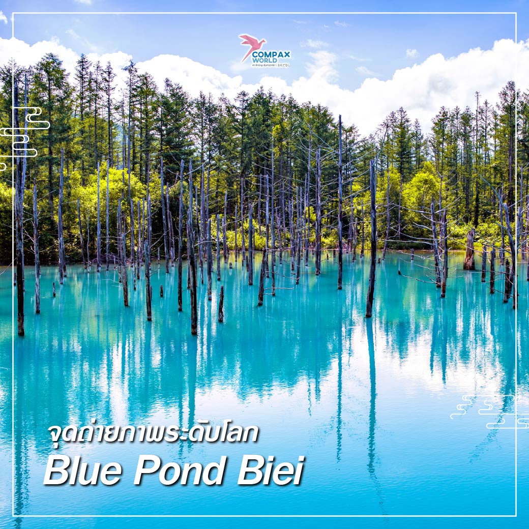 เที่ยวญี่ปุ่น ทัวร์ญี่ปุ่น ทัวร์ญี่ปุ่นพรีเมี่ยม โปรแกรมทัวร์ญี่ปุ่น