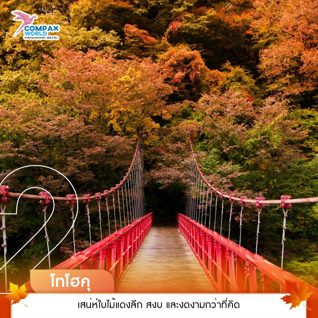 เที่ยวญี่ปุ่น ทัวร์ญี่ปุ่น ทัวร์ญี่ปุ่นพรีเมี่ยม โปรแกรมทัวร์ญี่ปุ่น