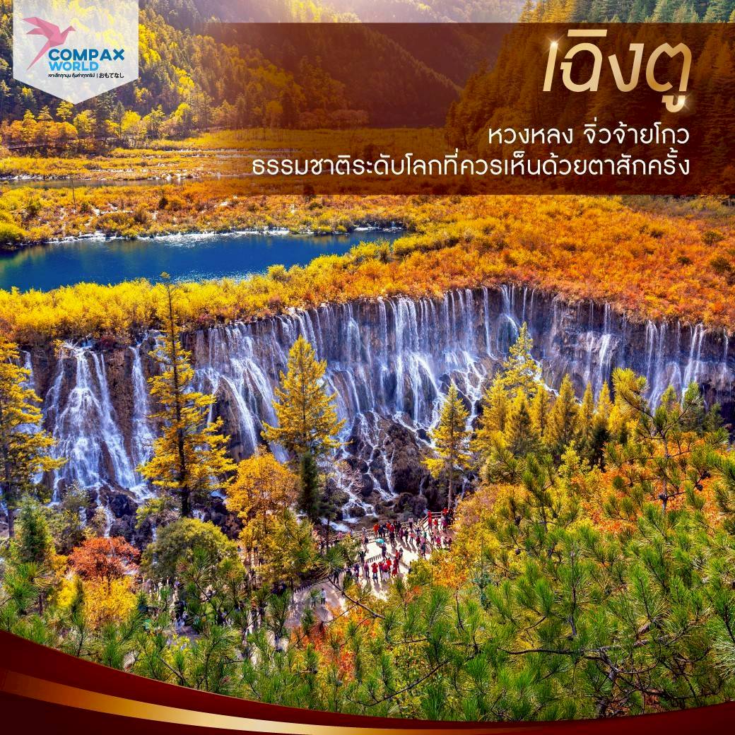 เที่ยวจีน ทัวร์จีน ทัวร์จีนพรีเมี่ยม โปรแกรมเที่ยวจีน