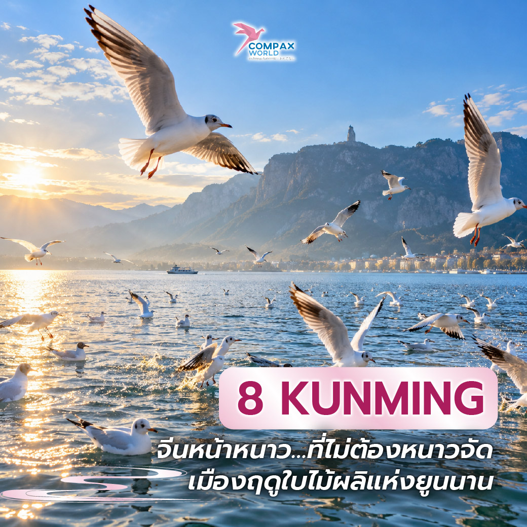 เที่ยวจีน ทัวร์จีน ทัวร์จีนพรีเมี่ยม โปรแกรมเที่ยวจีน