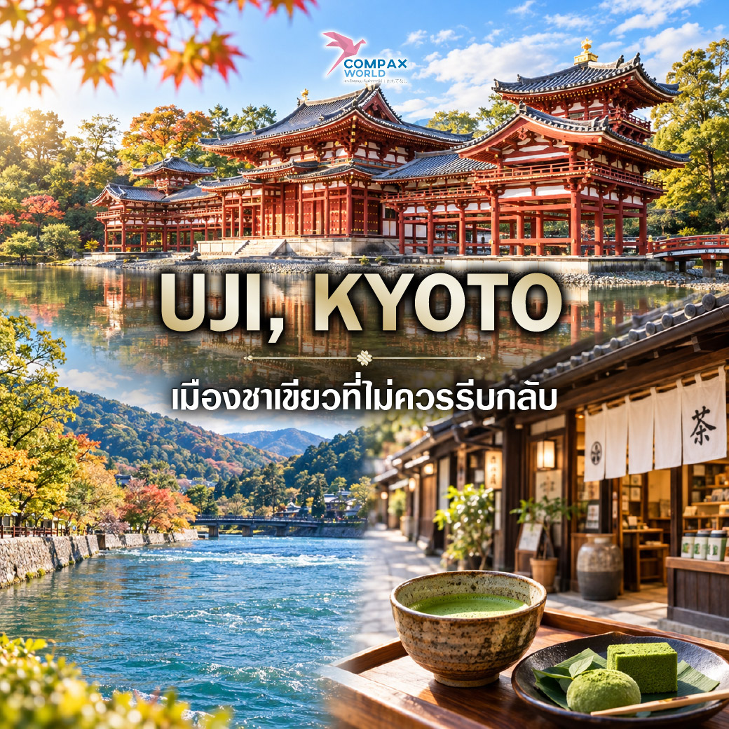 เที่ยวญี่ปุ่น ทัวร์ญี่ปุ่น ทัวร์ญี่ปุ่นพรีเมี่ยม โปรแกรมทัวร์ญี่ปุ่น