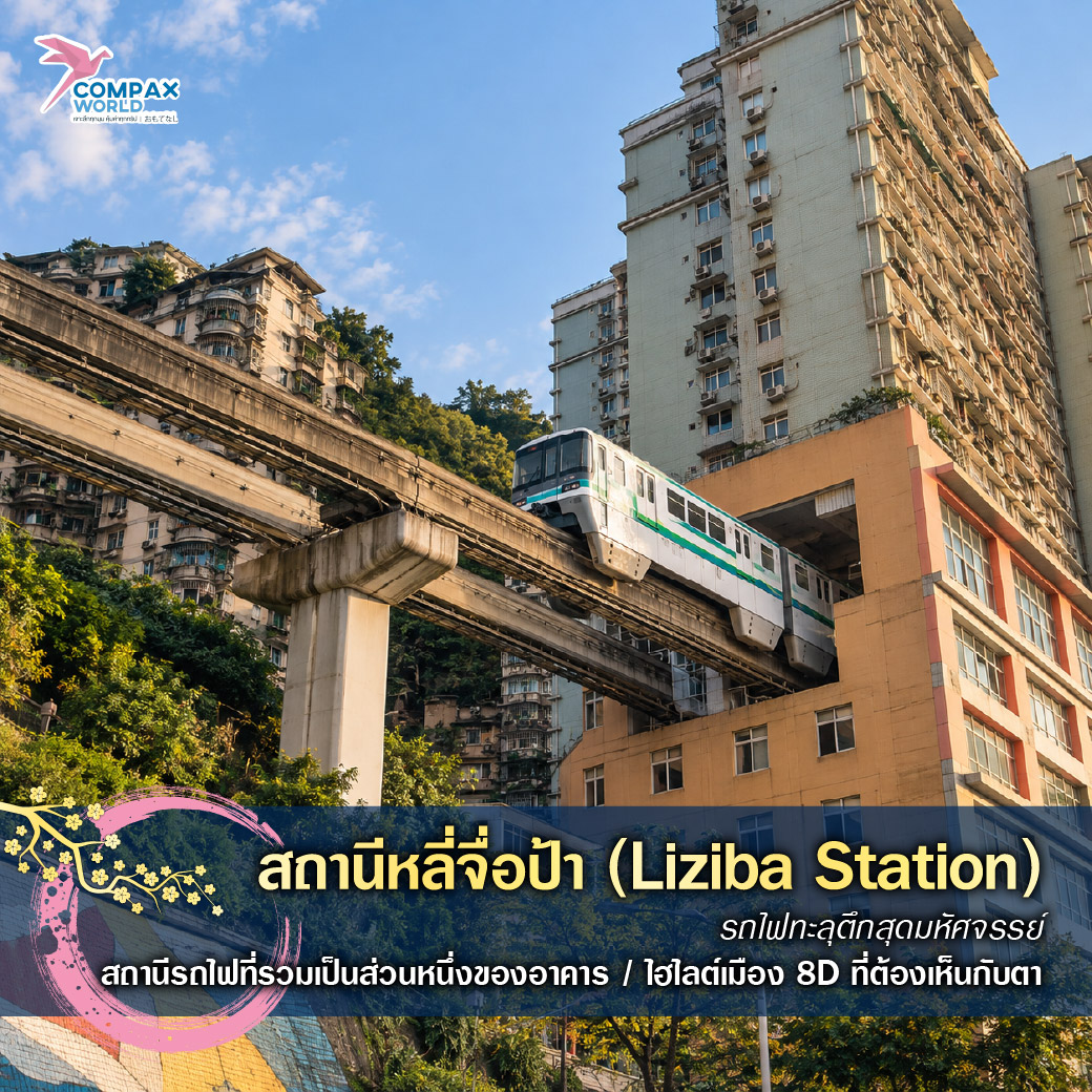 เที่ยวจีน ทัวร์จีน ทัวร์จีนพรีเมี่ยม โปรแกรมเที่ยวจีน