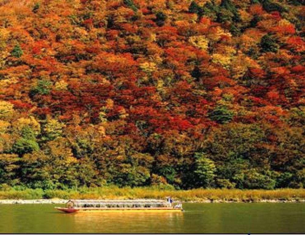 ทัวร์ญี่ปุ่น LITTLE FAM PACKAGE_GINZAN | COMPAXWORLD