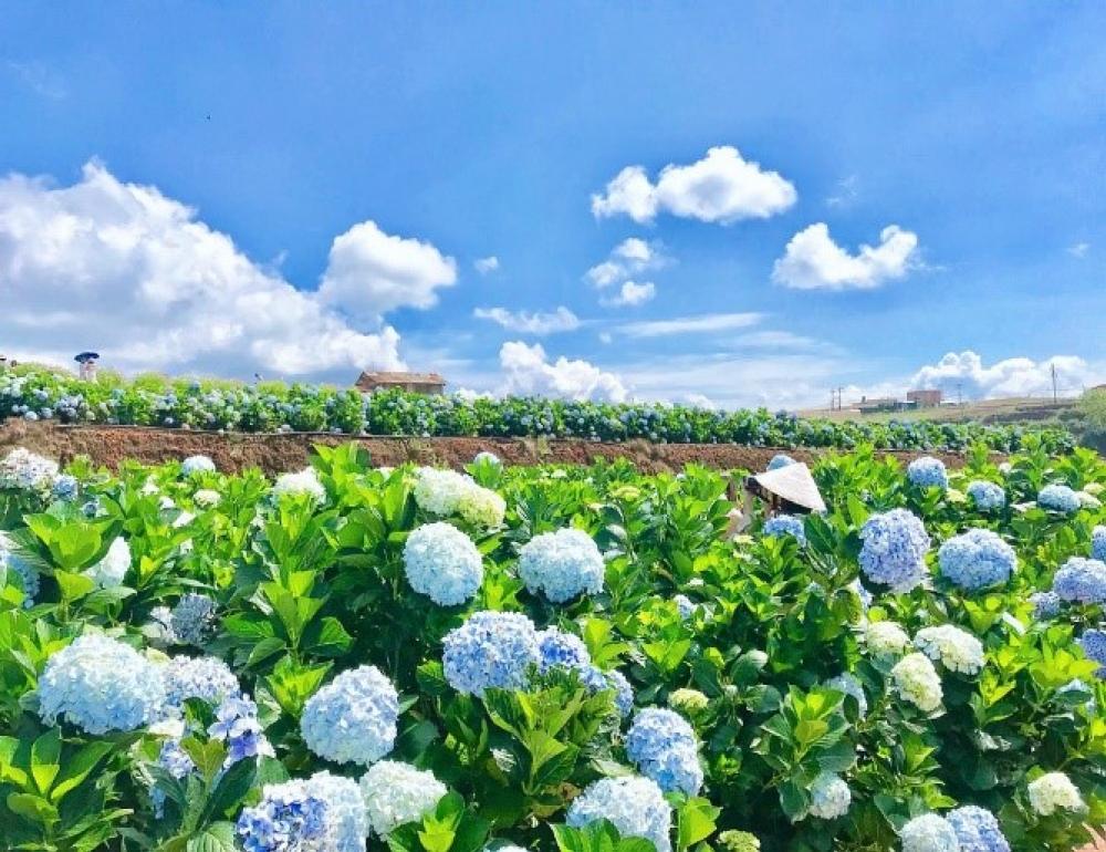 ทัวร์เวียดนาม DALAT - NHA TRANG | COMPAXWORLD