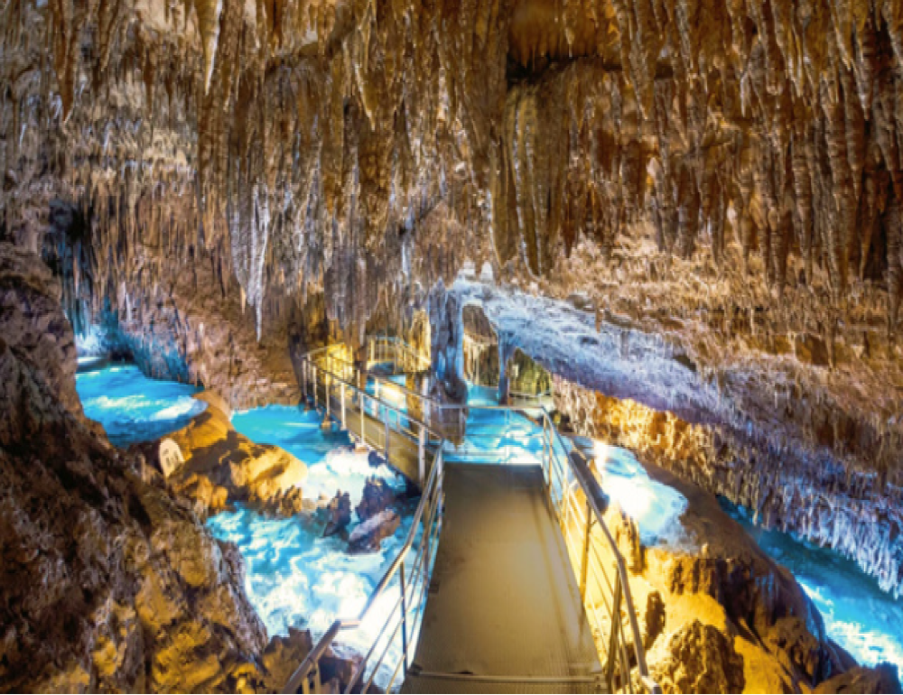 ทัวร์ญี่ปุ่น LITTLE FAM PACKAGES OKINAWA | COMPAXWORLD