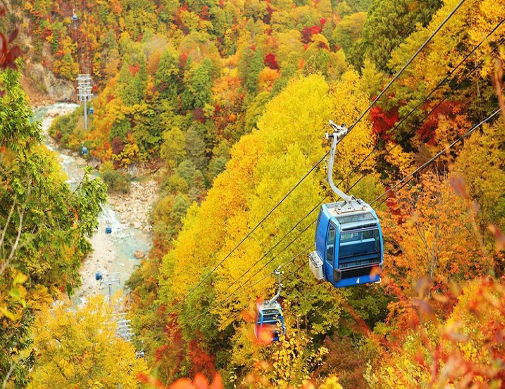 ทัวร์ญี่ปุ่น NEW ROUTE JOURNEY & KOYO AT NAEBA | COMPAXWORLD