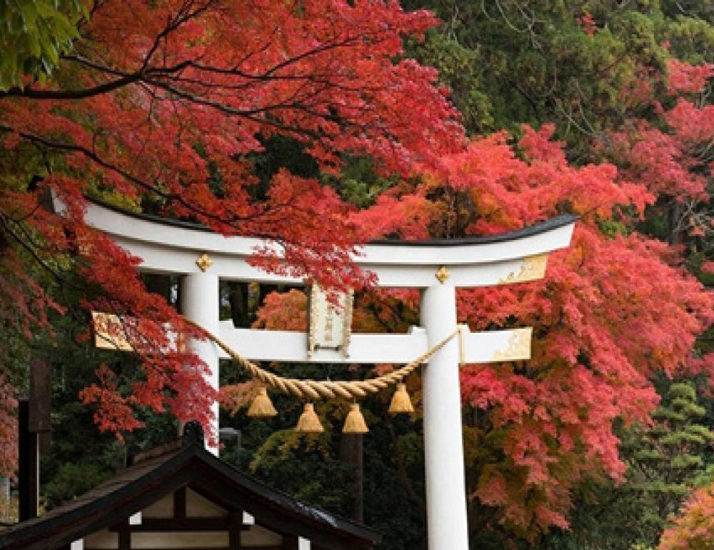 ทัวร์ญี่ปุ่น NEW ROUTE JOURNEY & KOYO AT NAEBA | COMPAXWORLD