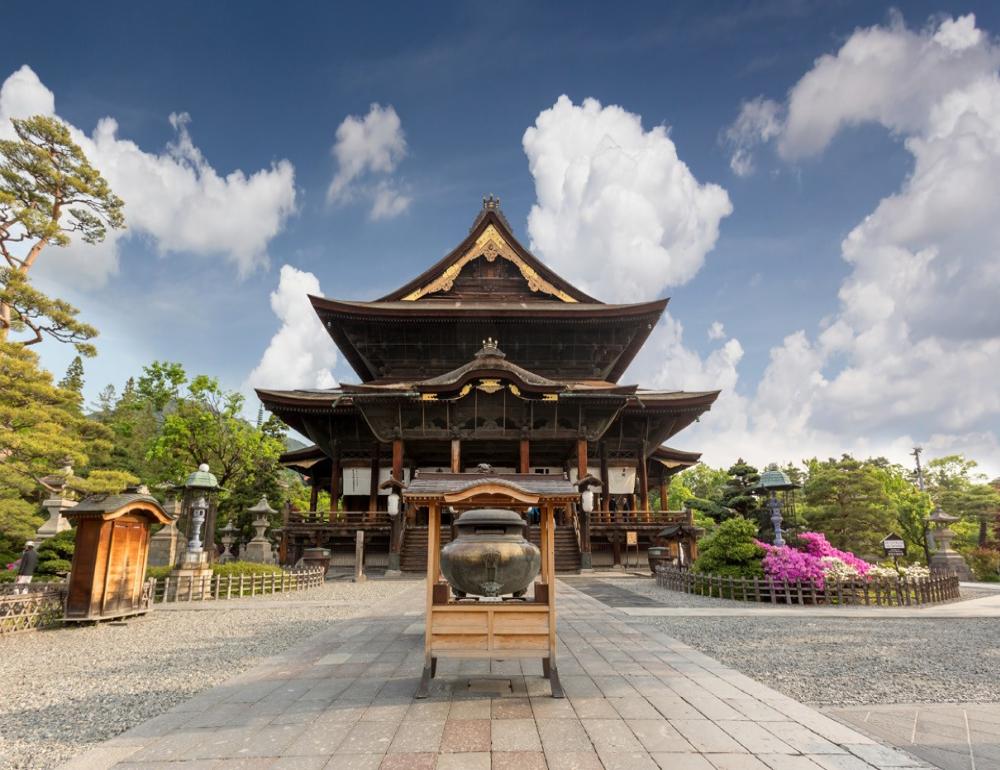 ทัวร์ญี่ปุ่น FOREST THERAPY AND HAKUBA AT NAGANO | COMPAXWORLD