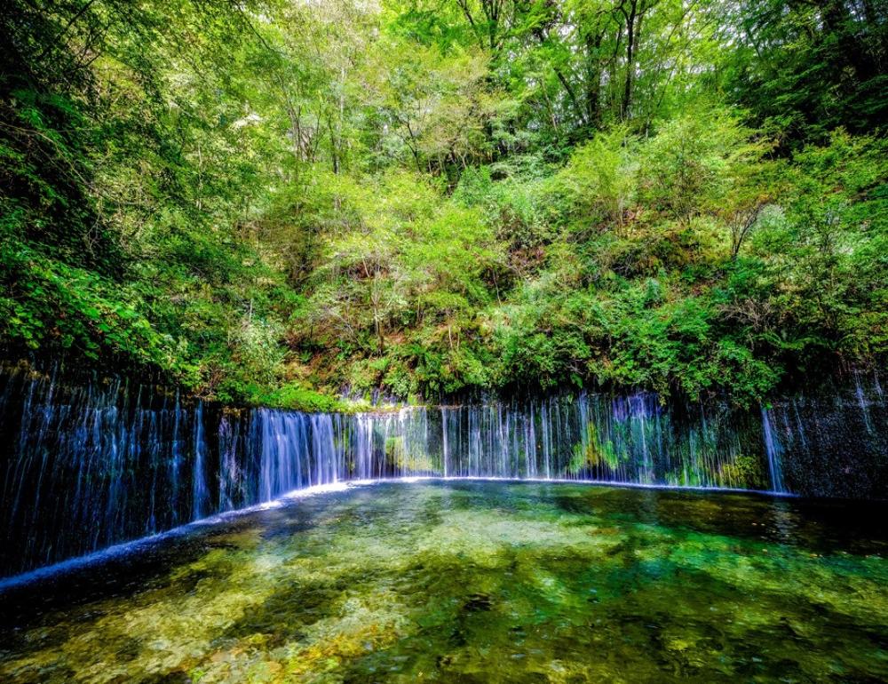 ทัวร์ญี่ปุ่น FOREST THERAPY AND HAKUBA AT NAGANO | COMPAXWORLD