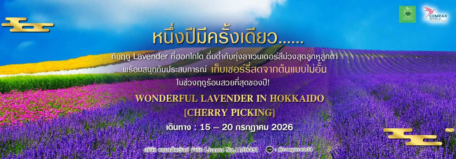 โปรแกรมทัวร์ฮอกไกโด ชมทุ่งลาเวนเดอร์สีม่วงสุดลูกหูลูกตาและเก็บเชอร์รี่สด เดินทางก.ค. 2026 กับ CompaxWorld ทัวร์ญี่ปุ่นพรีเมียม สัมผัสประสบการณ์วัฒนธรรมญี่ปุ่นแท้ ๆ