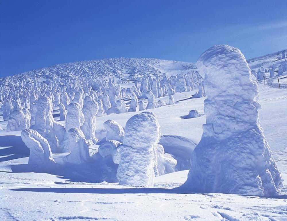 TOHOKU WHITE WINTER SNOW MONSTER by DIRECT FLIGHT | COMPAXWORLD