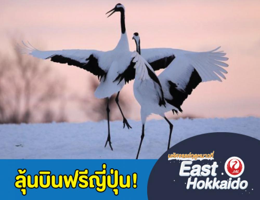 [EAST] UNSEEN HOKKAIDO 4 WINTER FESTIVALS IN 2020 | COMPAXWORLD