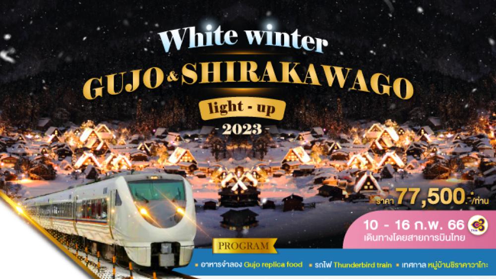 WHITE WINTER GUJO & SHIRAKAWAGO LIGHT UP | COMPAXWORLD