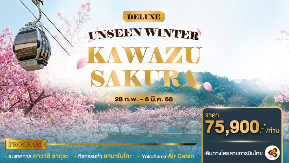 DELUXE UNSEEN WINTER KAWAZU SAKURA | COMPAXWORLD