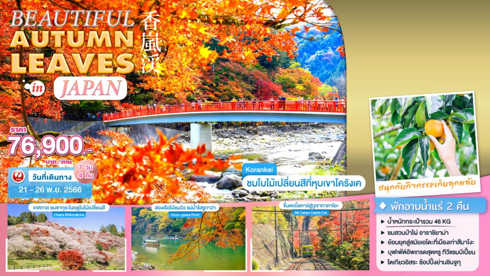 เที่ยวญี่ปุ่น BEAUTIFUL AUTUMN LEAVES IN JAPAN | COMPAXWORLD