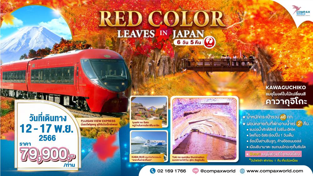 ทัวร์ญี่ปุ่น RED COLOR LEAVES IN JAPAN | COMPAXWORLD