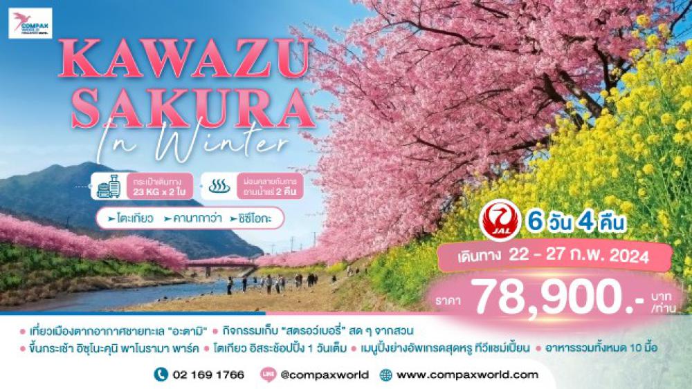 ทัวร์ญี่ปุ่น KAWAZU SAKURA IN WINTER | COMPAXWORLD