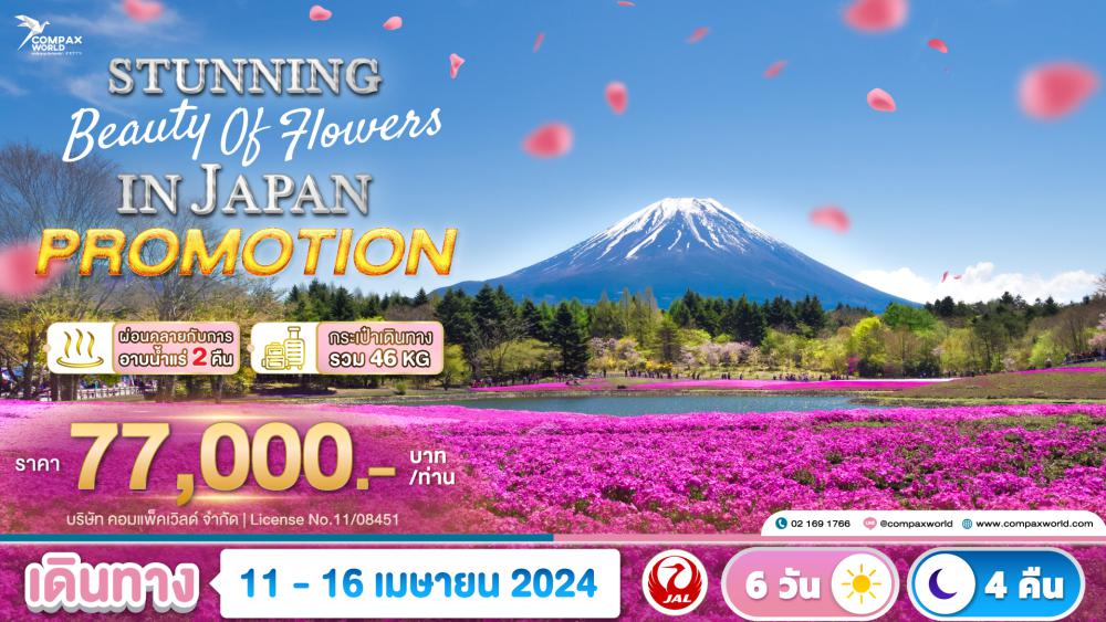 ทัวร์ญี่ปุ่น STUNNING BEAUTY OF FLOWERS IN JAPAN (PROMOTION) | COMPAXWORLD
