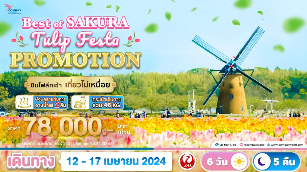 ทัวร์ญี่ปุ่น BEST OF SAKURA TULIP FESTA (PROMOTION) | COMPAXWORLD