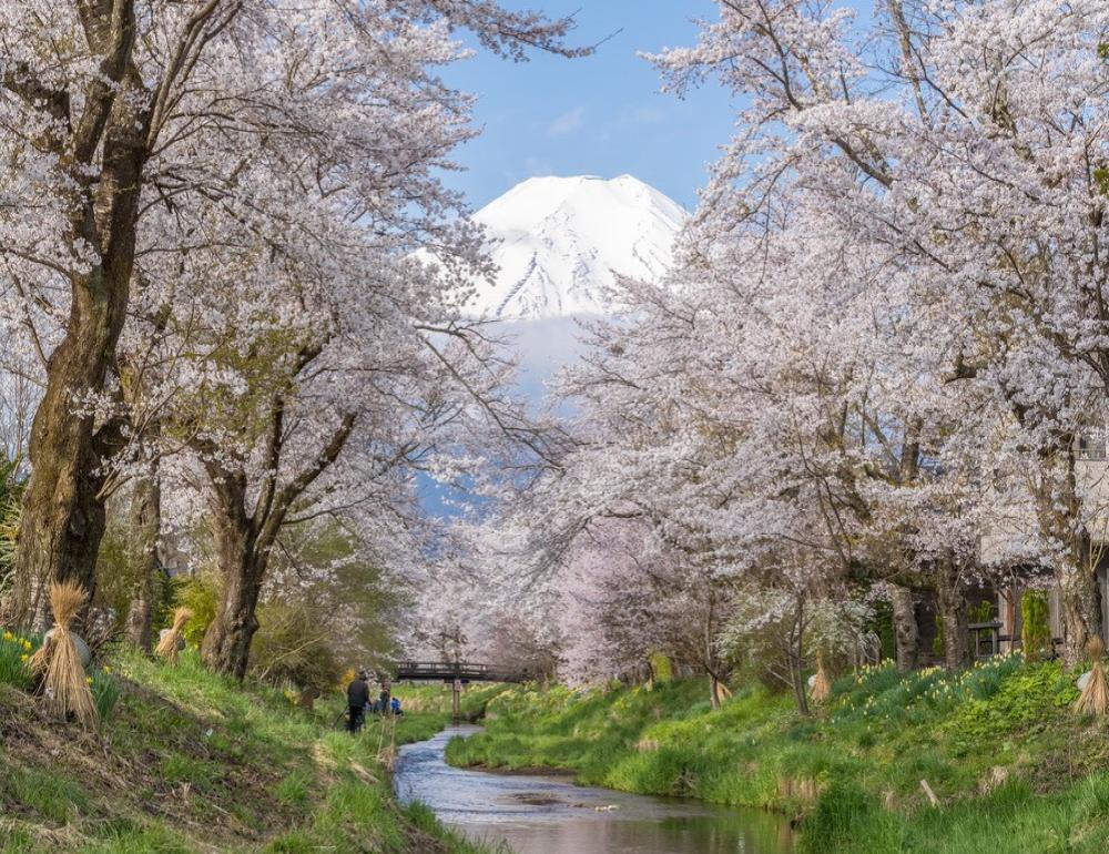 ทัวร์ญี่ปุ่น MAGICAL JAPAN THEME PARKS TOUR | COMPAXWORLD