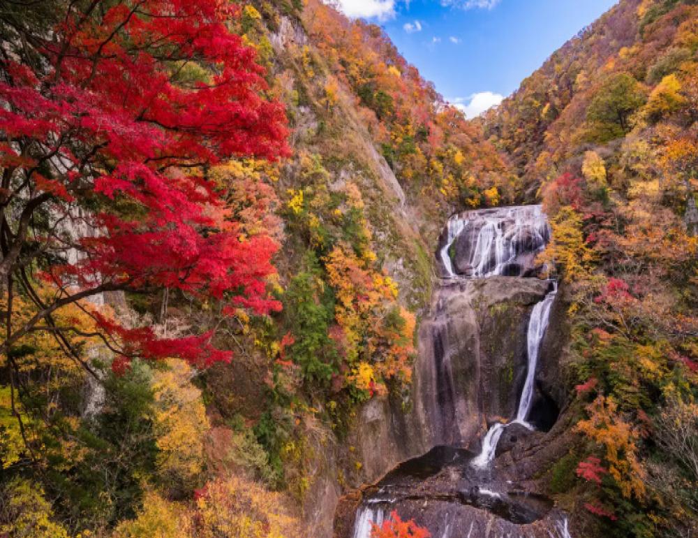 ทัวร์ญี่ปุ่น WHISPERS OF AUTUMN AT IBARAKI | COMPAXWORLD