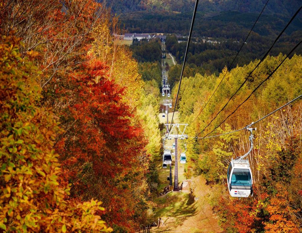 ทัวร์ญี่ปุ่น AUTUMN DREAMS OF JAPAN | COMPAXWORLD