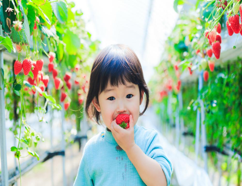 ทัวร์ญี่ปุ่น THE NEW ROUTE FOR SAKURA & ONSEN LOVERS | COMPAXWORLD